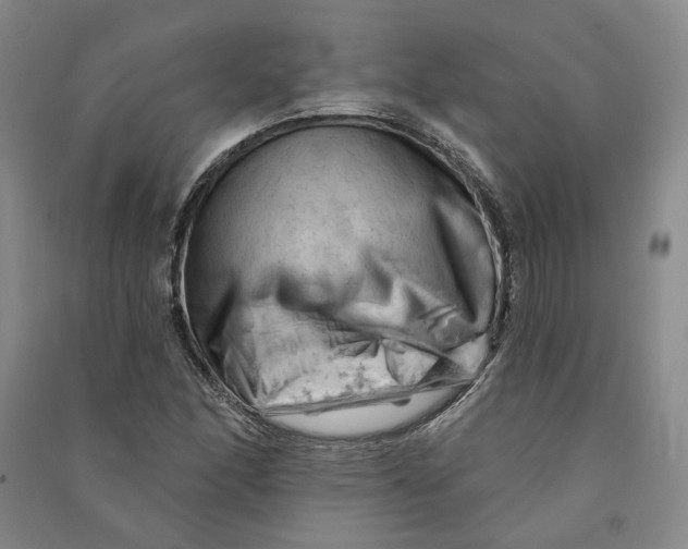 X0000090891166200708171659