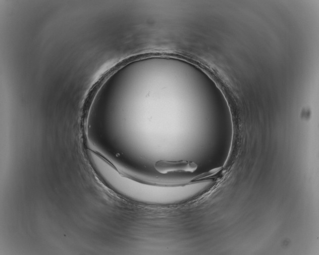 X0000090891168200708171659