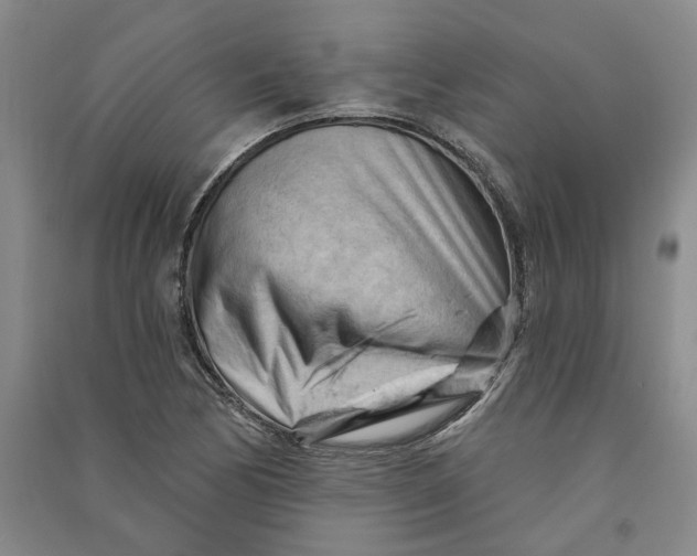 X0000090891170200708171659