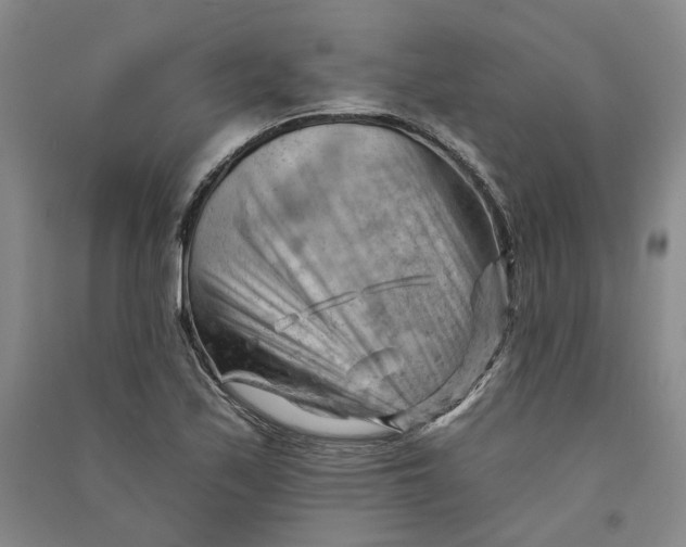 X0000090891171200708171659