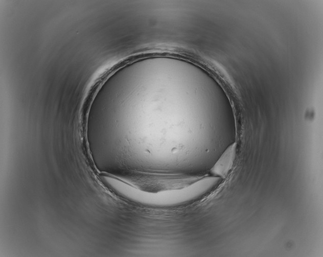 X0000090891172200708171659