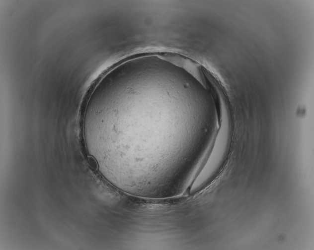 X0000090891173200708171659