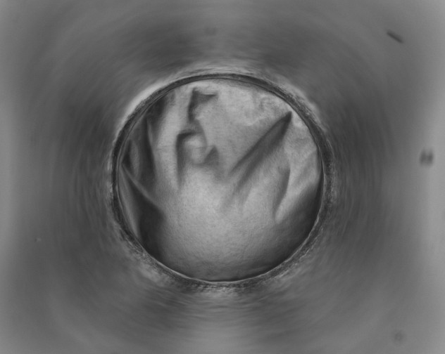 X0000090891174200708171659