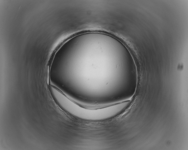 X0000090891175200708171659