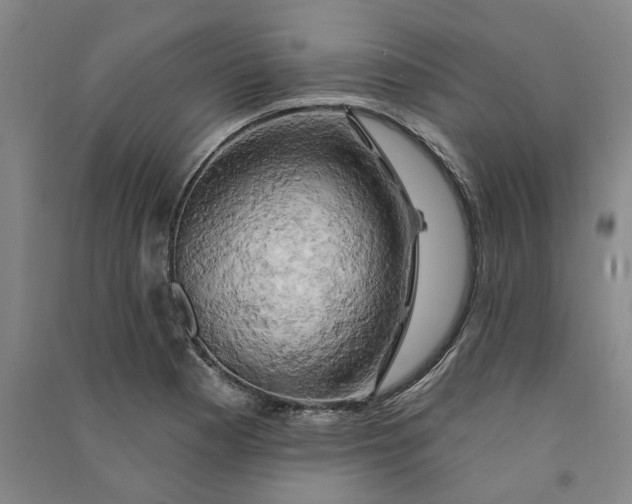 X0000090891177200708171659