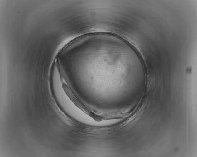 X0000090891179200708171659