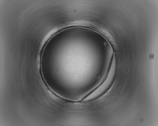 X0000090891180200708171659