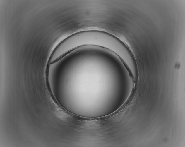 X0000090891181200708171659