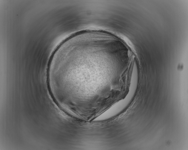 X0000090891183200708171659