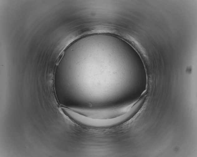 X0000090891185200708171659