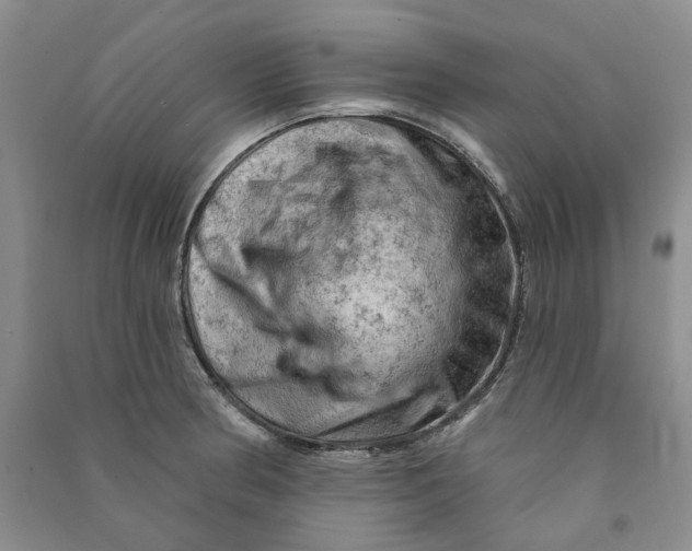 X0000090891186200708171659