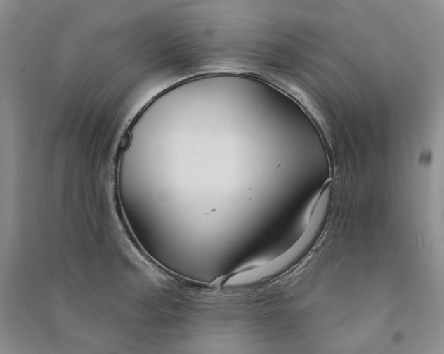 X0000090891187200708171659