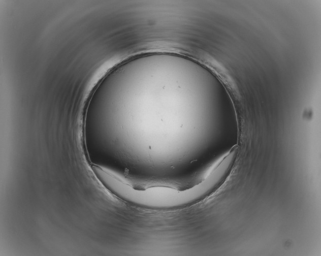 X0000090891188200708171659