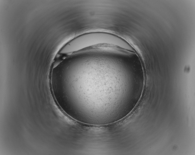 X0000090891189200708171659