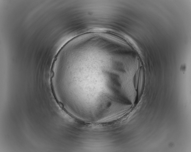 X0000090891194200708171659