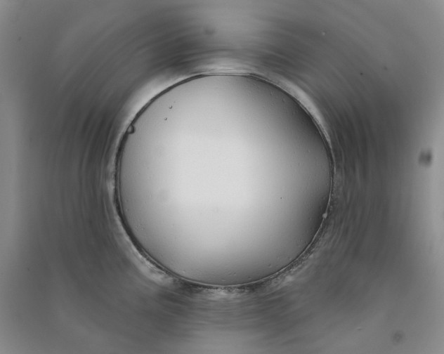 X0000090891195200708171659