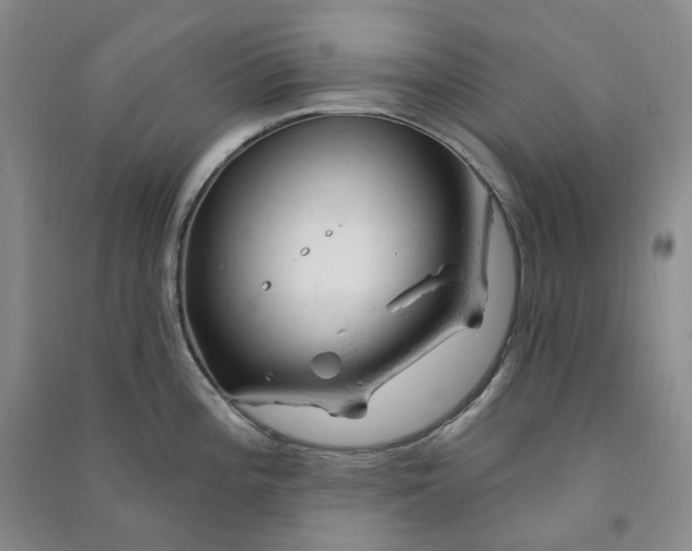 X0000090891196200708171659