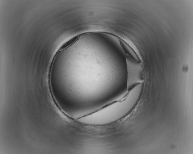 X0000090891197200708171659