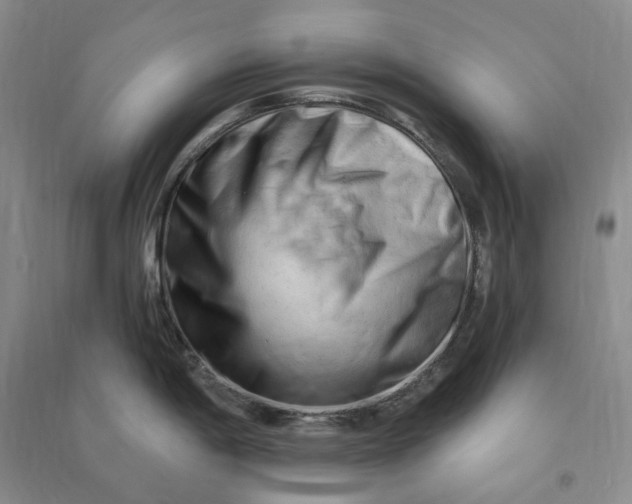 X0000090891198200708171659