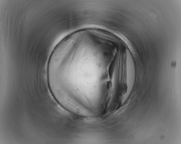 X0000090891199200708171659