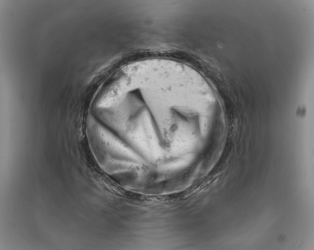 X0000090891205200708171659