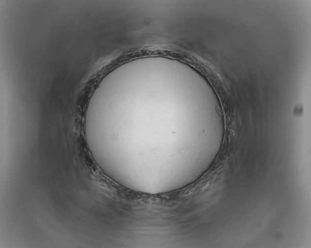 X0000090891207200708171659