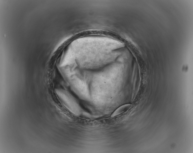 X0000090891208200708171659