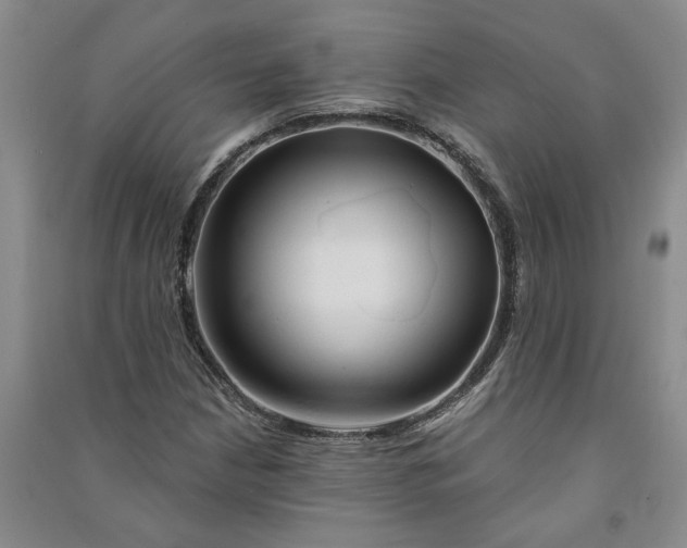 X0000090891210200708171659