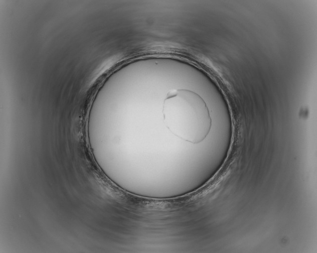 X0000090891211200708171659