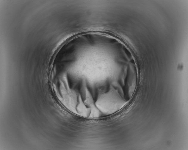 X0000090891212200708171659