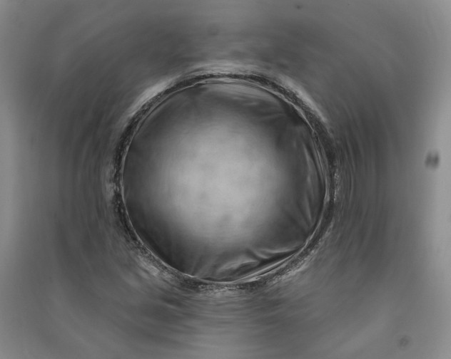 X0000090891213200708171659