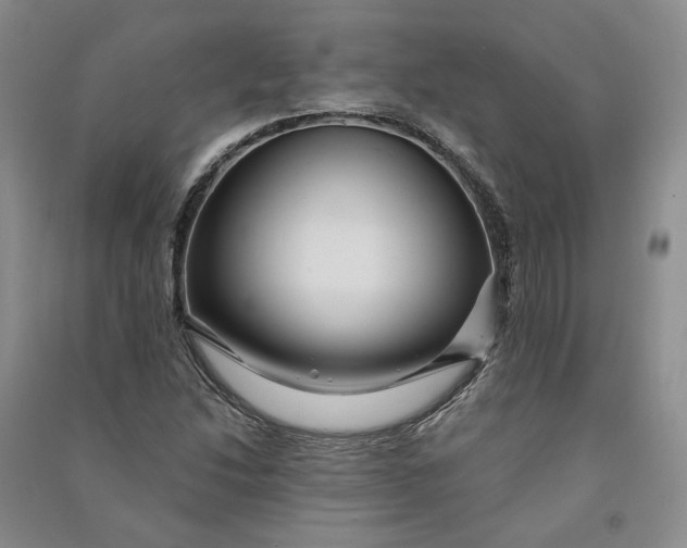 X0000090891214200708171659