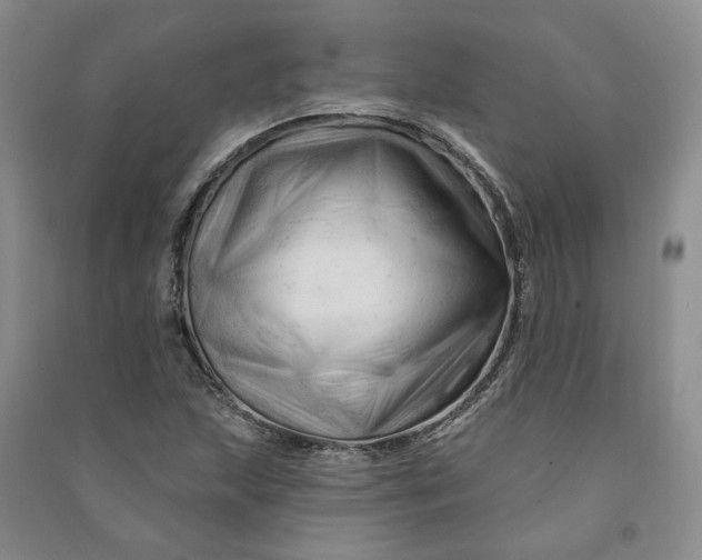 X0000090891215200708171659