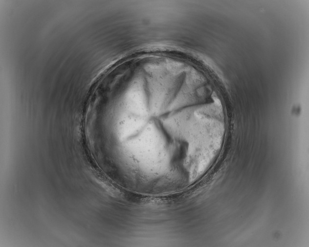 X0000090891217200708171659