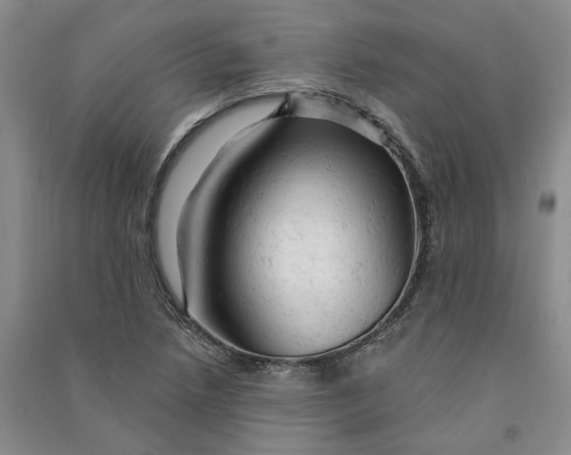 X0000090891218200708171659