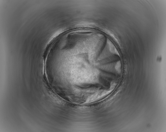 X0000090891219200708171659