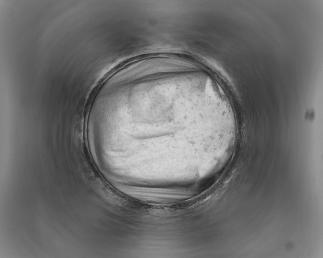 X0000090891220200708171659