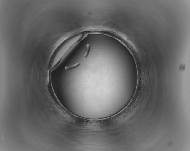 X0000090891221200708171659