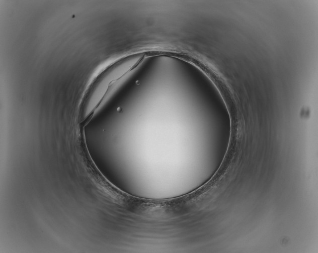 X0000090891222200708171659