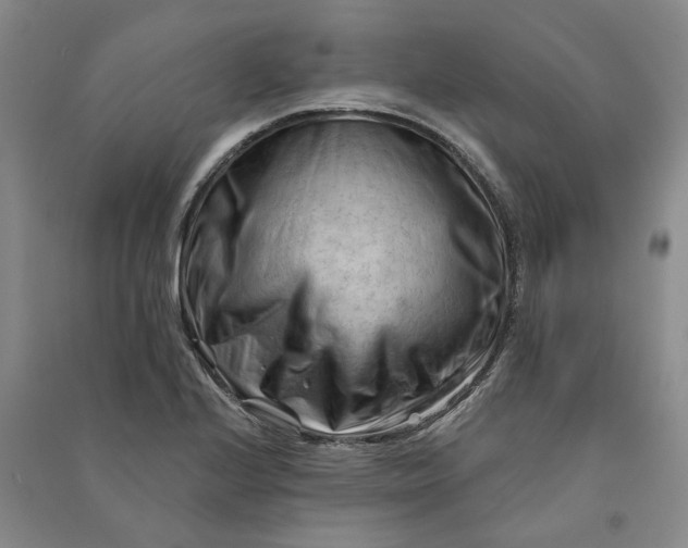 X0000090891224200708171659