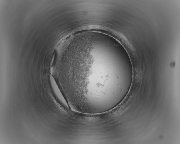 X0000090891225200708171659