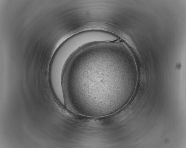 X0000090891226200708171659