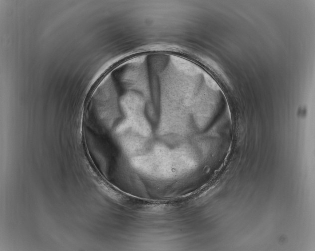 X0000090891228200708171659