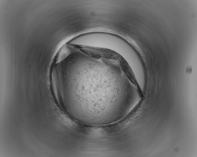 X0000090891230200708171659