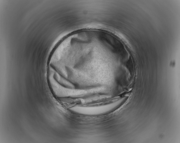 X0000090891232200708171659