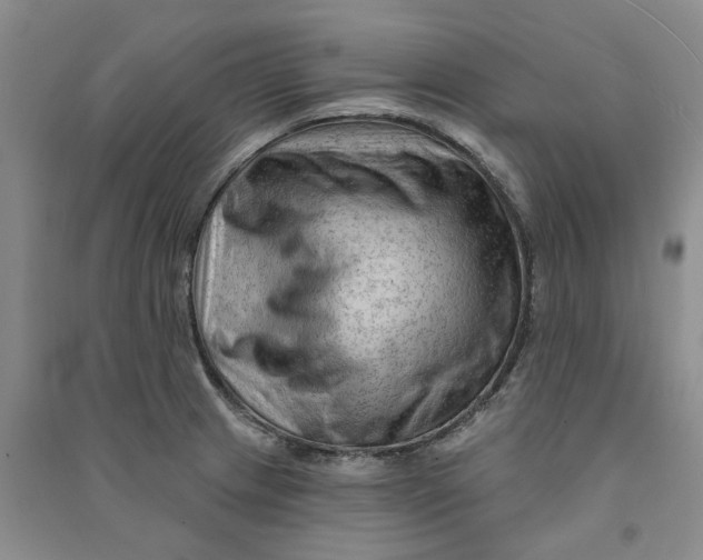 X0000090891233200708171659