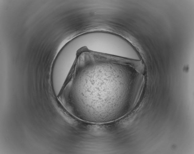 X0000090891234200708171659