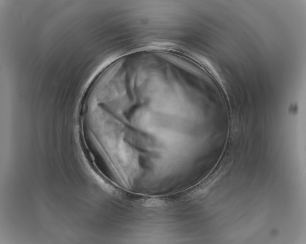 X0000090891235200708171659