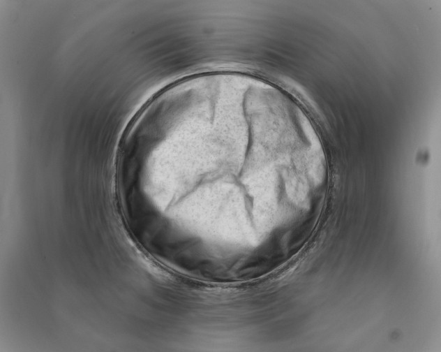 X0000090891236200708171659