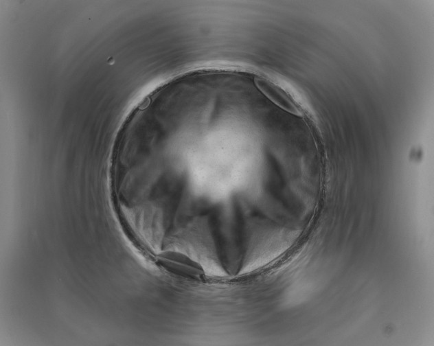 X0000090891237200708171659